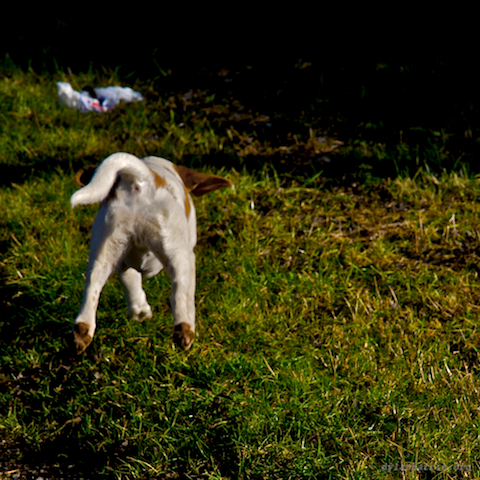 image: unlabelled image