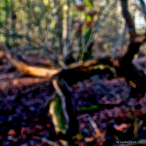 image: unlabelled image