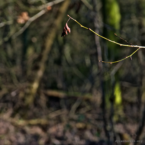 image: unlabelled image