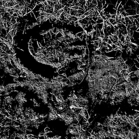 image: unlabelled image