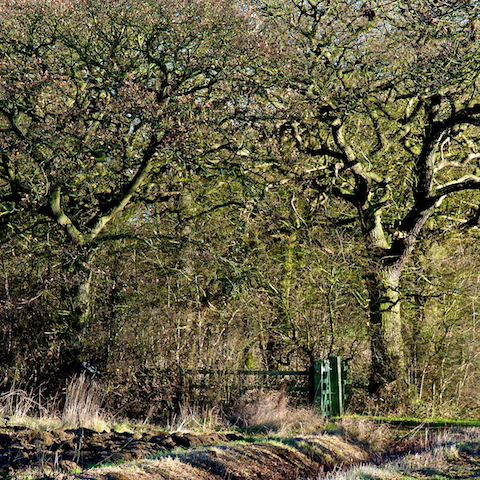 image: unlabelled image