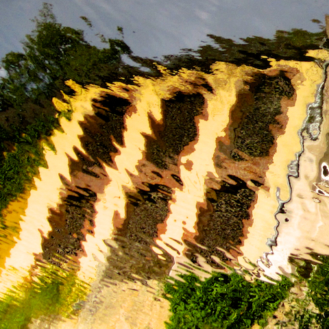 image: unlabelled image