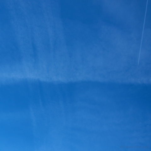 image: unlabelled image