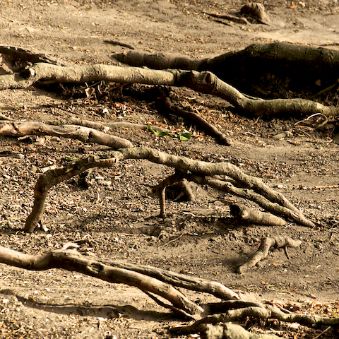 image: unlabelled image