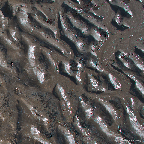 image: unlabelled image