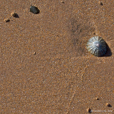 image: unlabelled image