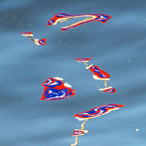 image: unlabelled image