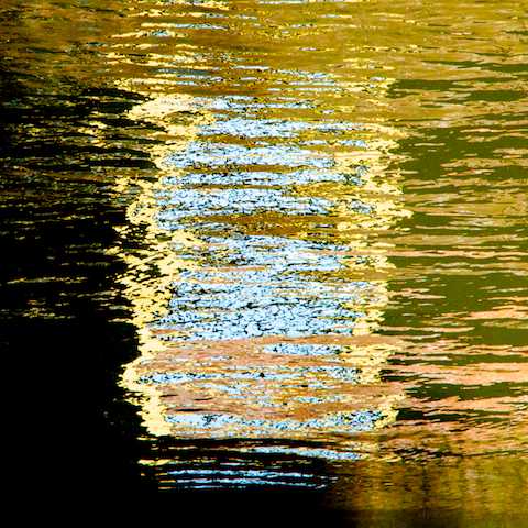 image: unlabelled image