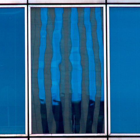 image: unlabelled image