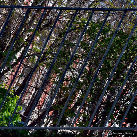 image: unlabelled image