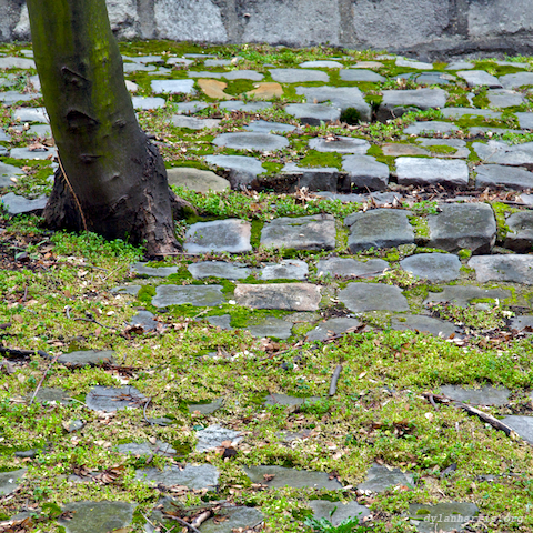 image: unlabelled image