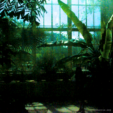 image: unlabelled image