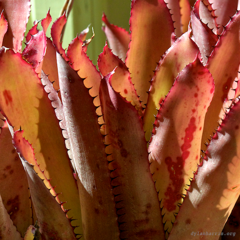 image: unlabelled image