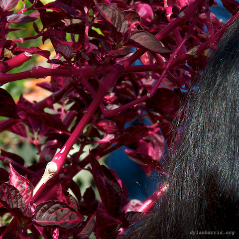 image: unlabelled image