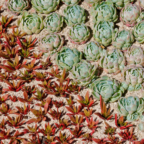 image: unlabelled image