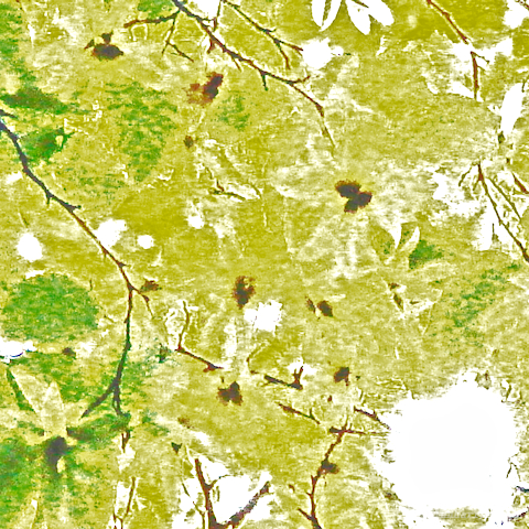 image: unlabelled image