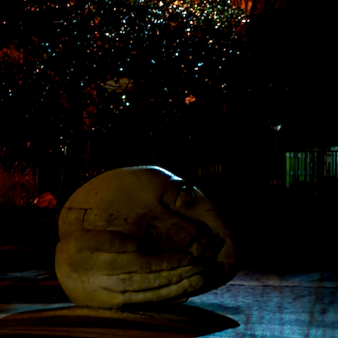 image: unlabelled image