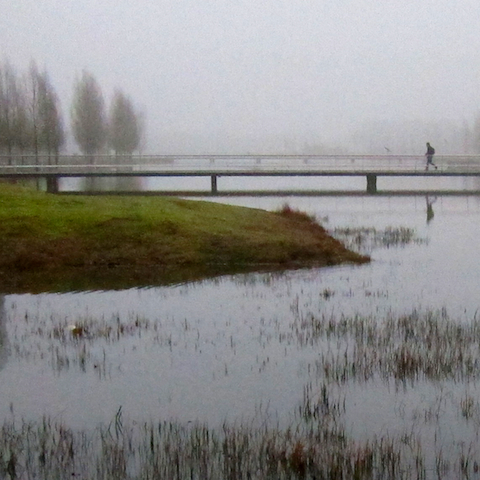 image: unlabelled image