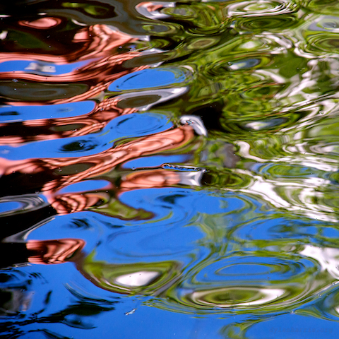 image: unlabelled image