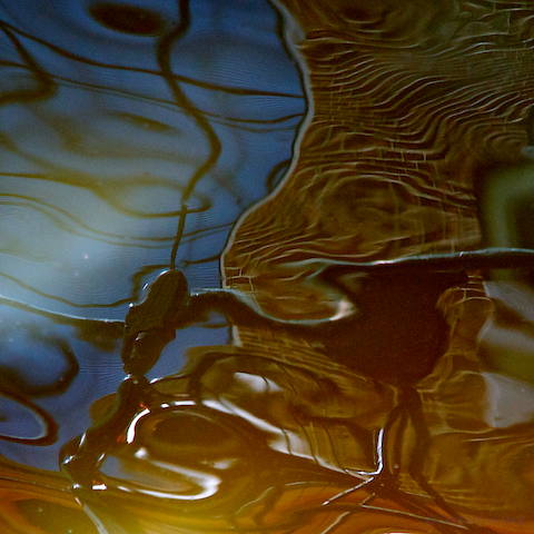 image: unlabelled image