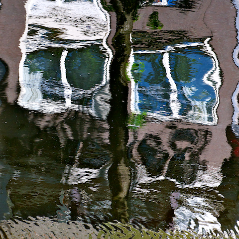 image: unlabelled image