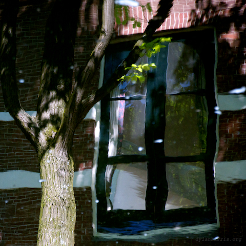 image: unlabelled image