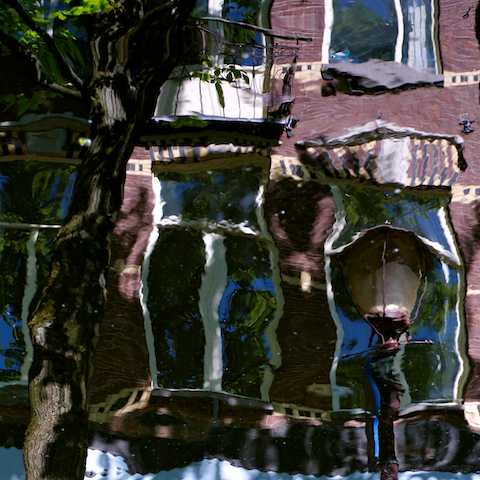 image: unlabelled image