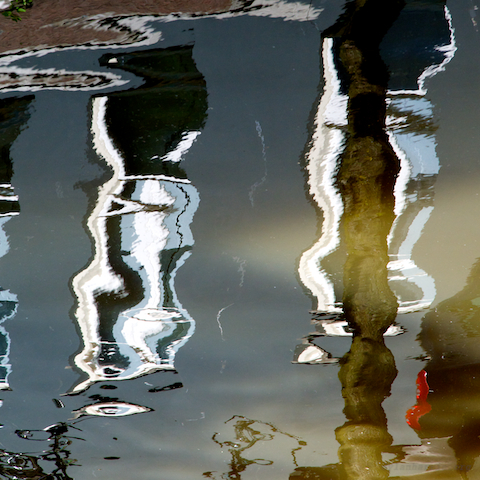 image: unlabelled image