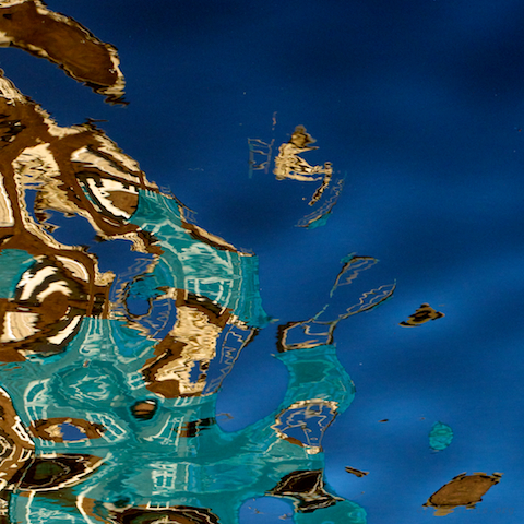 image: unlabelled image