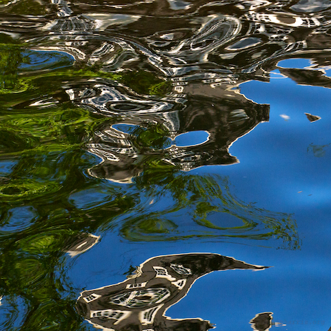 image: unlabelled image