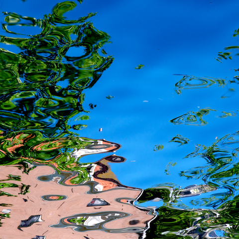 image: unlabelled image