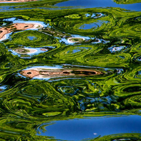 image: unlabelled image