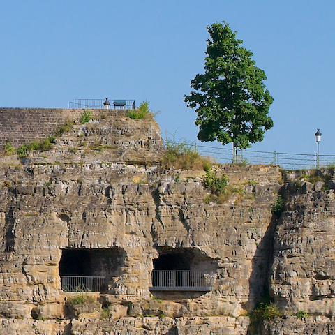 image: unlabelled image