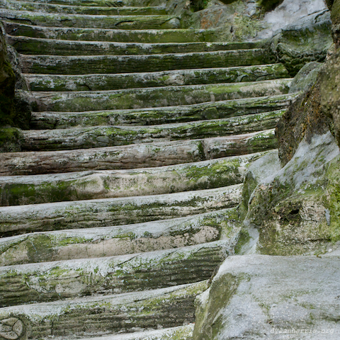 image: unlabelled image