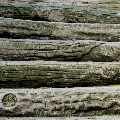 image: unlabelled image