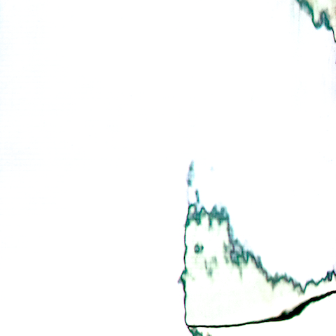 image: unlabelled image