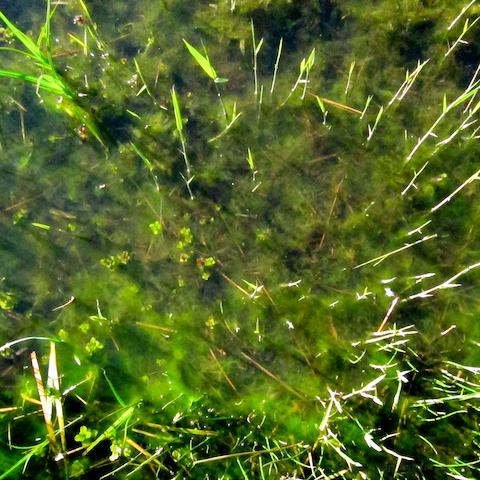 image: unlabelled image