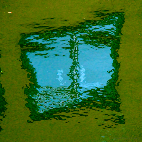 image: unlabelled image