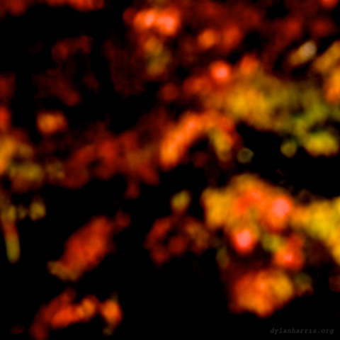 image: unlabelled image