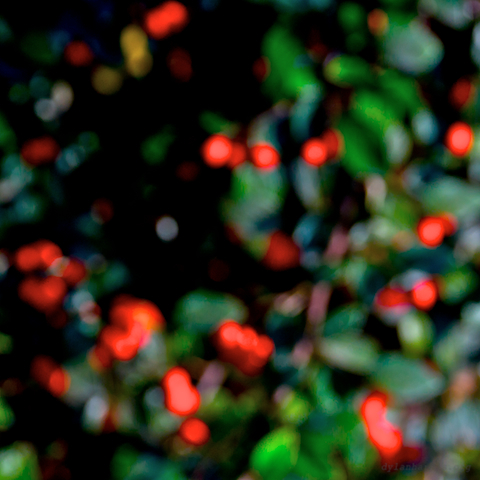 image: unlabelled image