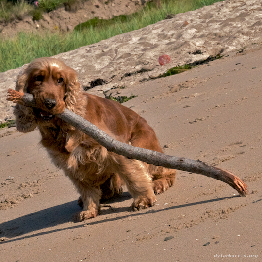 image: unlabelled image