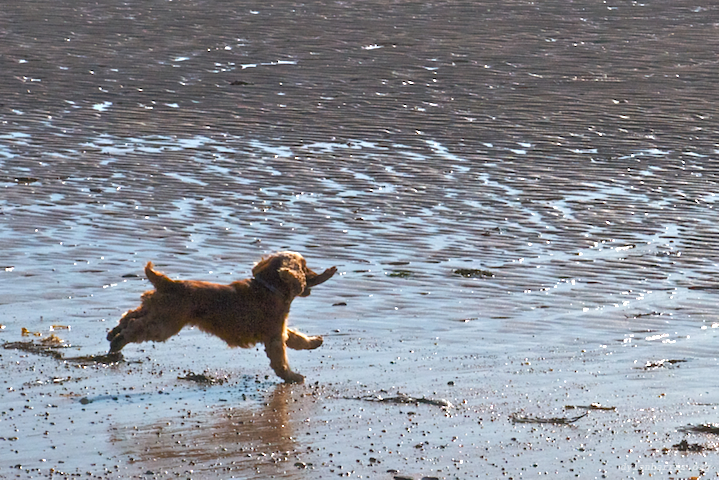 image: unlabelled image