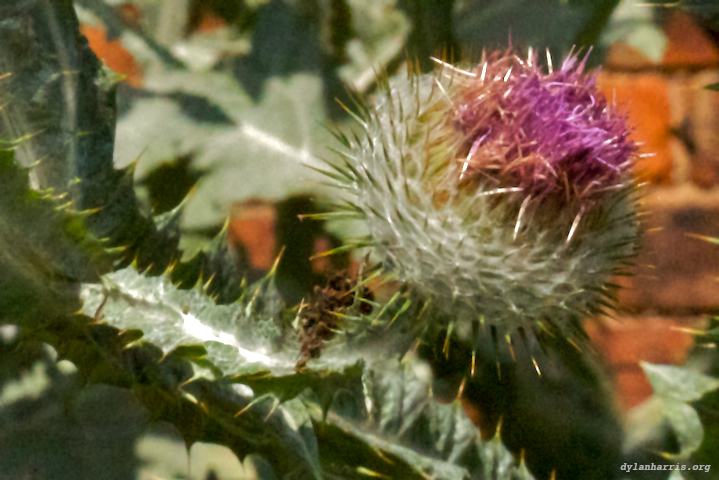 image: unlabelled image