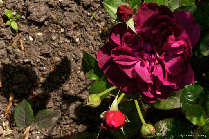 image: unlabelled image