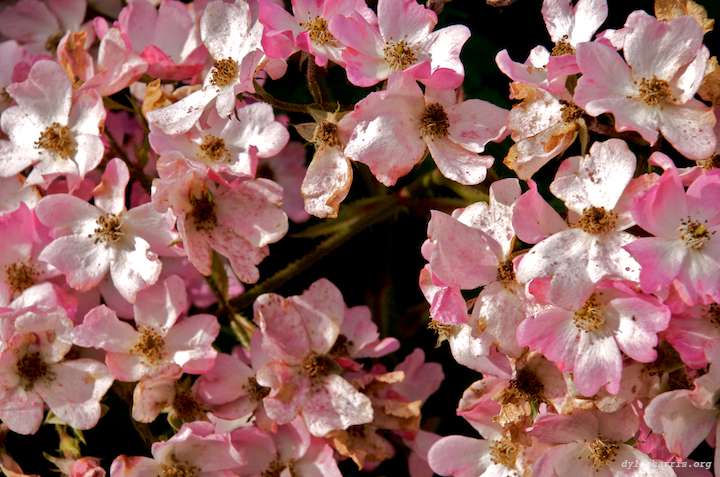 image: unlabelled image