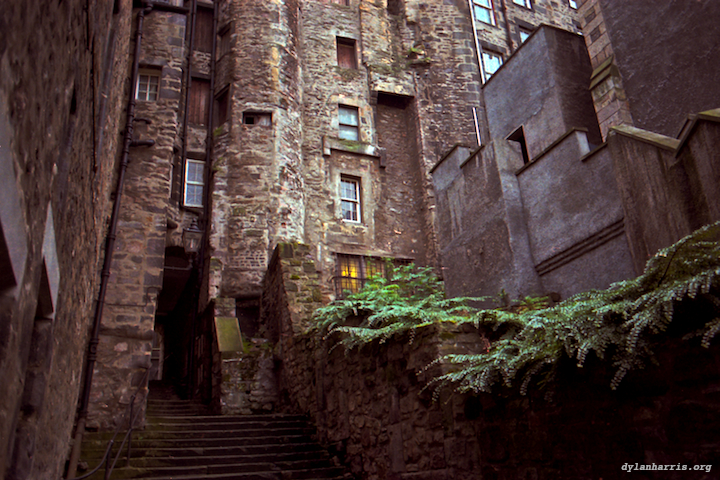 image: unlabelled image