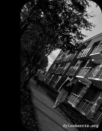 image: unlabelled image