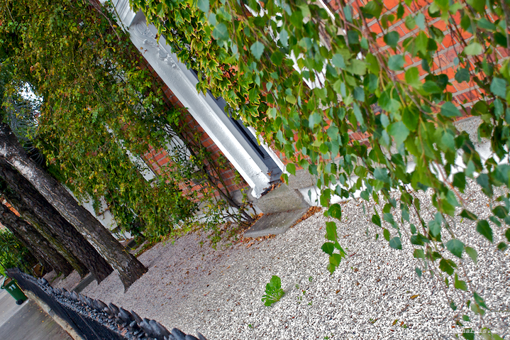 image: unlabelled image