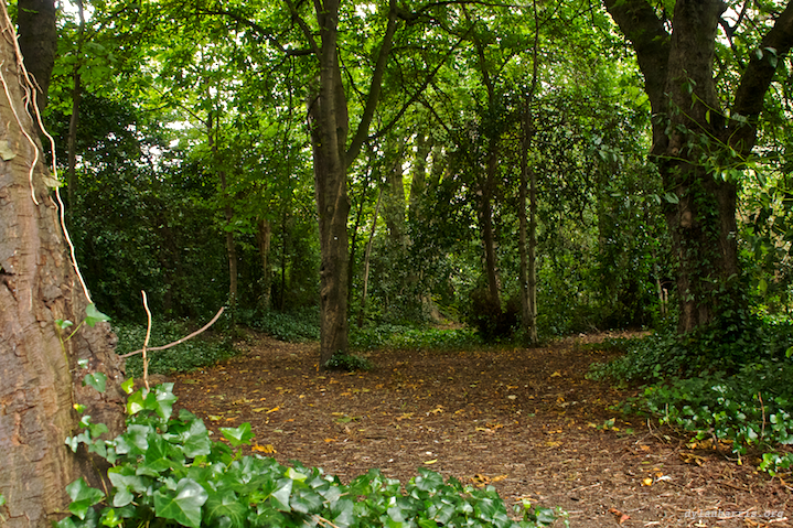 image: unlabelled image