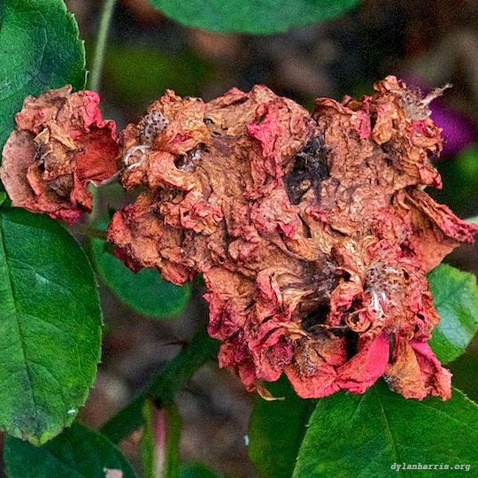 image: unlabelled image